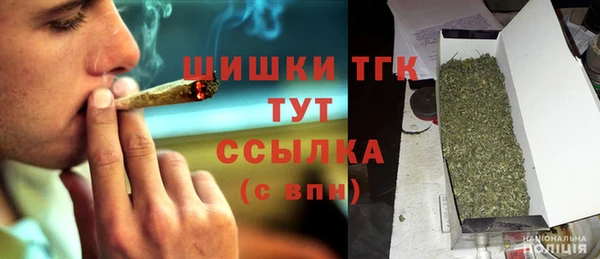 спиды Богородицк