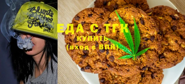 спиды Богородицк