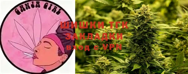 спиды Богородицк