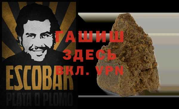 спиды Богородицк