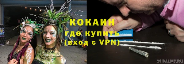 спиды Богородицк