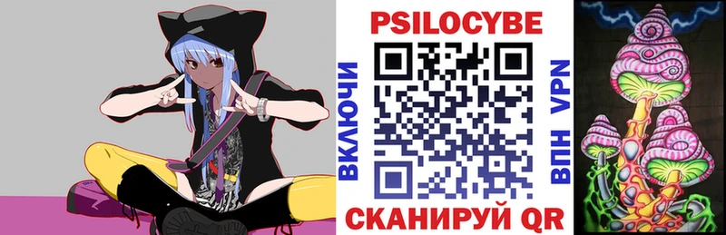 shop какой сайт  цены   Братск  Галлюциногенные грибы MAGIC MUSHROOMS 